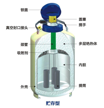 成都金鳳貯存型液氮罐結構特點